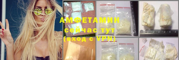 шишки Арсеньев