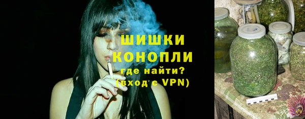 шишки Арсеньев