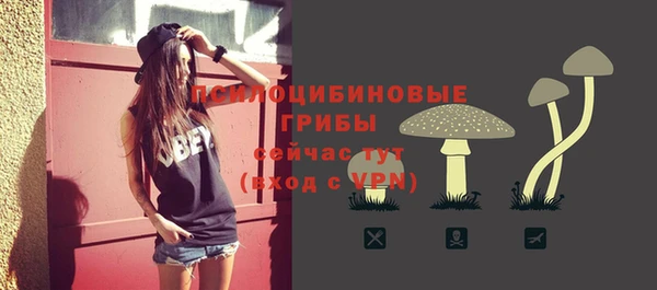 прущий лед Армянск