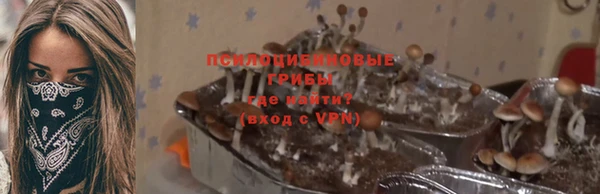 гидропоника Аркадак