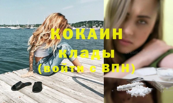 шишки Арсеньев