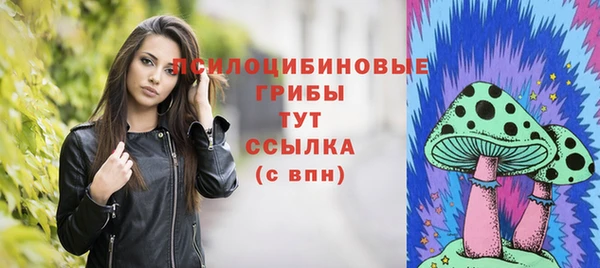 спиды Покровск