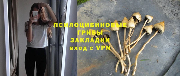 дмт Пестово