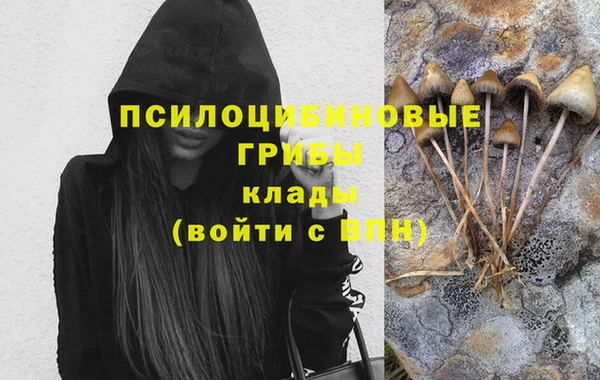 прущий лед Армянск