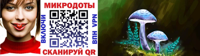Галлюциногенные грибы GOLDEN TEACHER  купить   Советская Гавань 